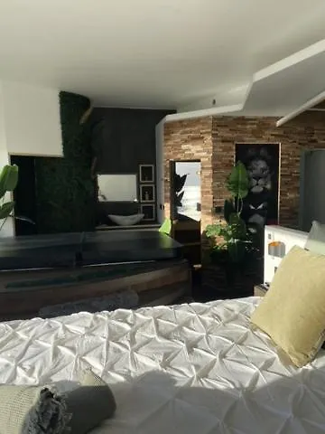Sunset Apartment Six-Fours-les-Plages France